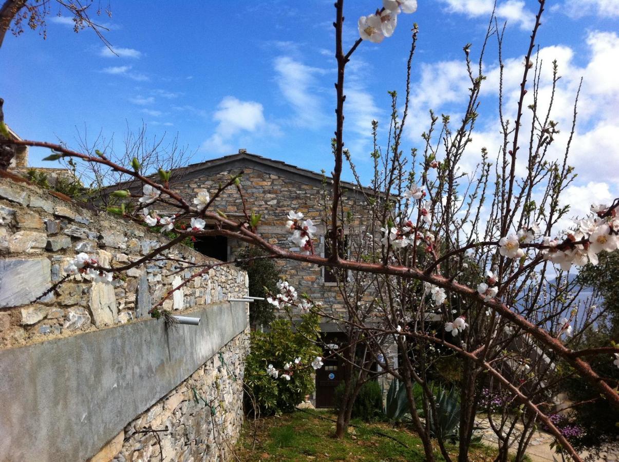 Pyrgos Traditional Village Agios Kirykos  ภายนอก รูปภาพ